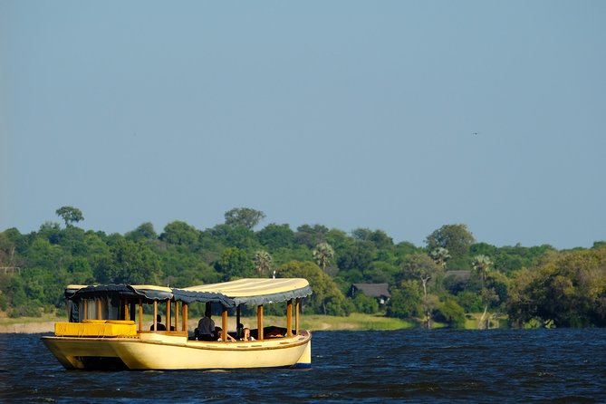 Birdwatching Cruise in Zambezi River with Breakfast - What the guide adds to the morning