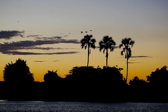 Birdwatching Cruise in Zambezi River with Breakfast - What the two-hour itinerary feels like