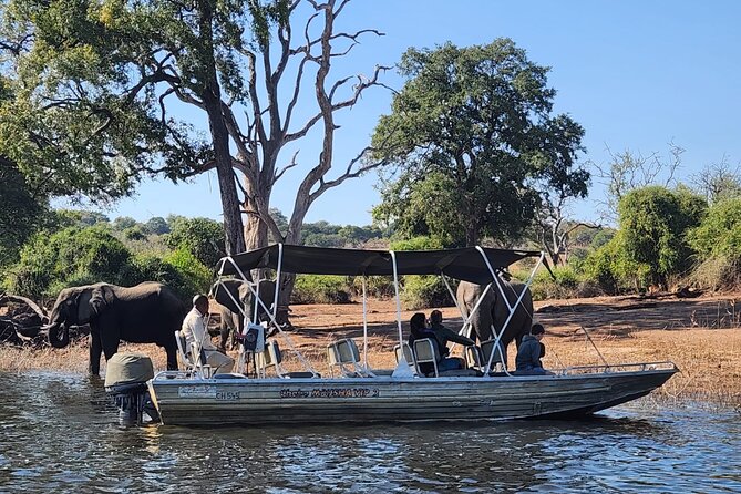 Chobe Botswana Day Trip River and Land Safari from Victoria Falls - Key points at a glance