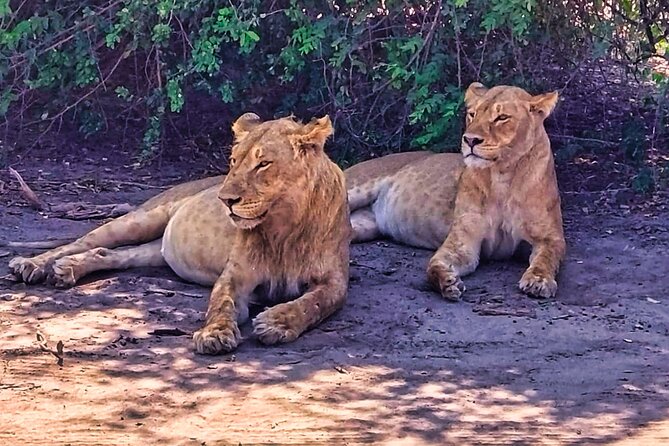 Chobe Botswana Day Trip River and Land Safari from Victoria Falls - What the $195 price really covers