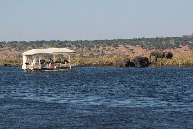 Chobe Day Trip - The Chobe River cruise and its close wildlife views