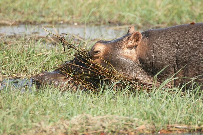 Chobe Day Trip - Lunch gives the middle of the day a useful break