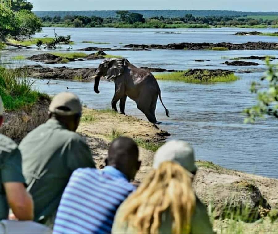 Chobe Day Trip - From Vic Falls - With Lunch (Buffet) - Booking details and the final decision