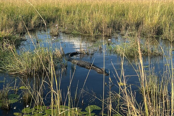 Chobe Day Trip from Victoria Falls - Tea, coffee, and a simple start in Botswana
