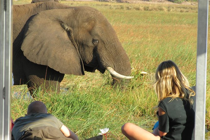 Chobe Day Trip from Victoria Falls, Zimbabwe - The 1:30 PM Chobe National Park game drive