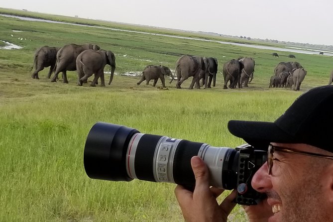 Chobe Day Trip from Victoria Falls, Zimbabwe - What the $170 price really buys you