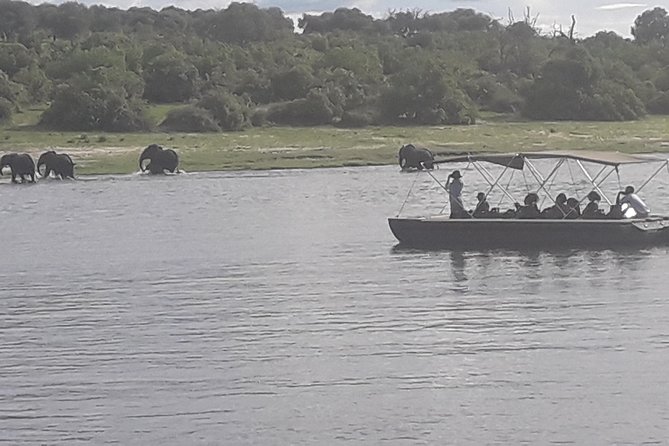 Chobe Day Trip Starting From Victoria Falls - The open-Jeep game drive on land