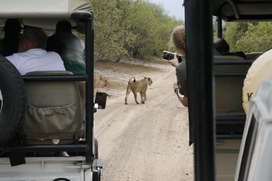 Chobe Extended Day Trip - Crossing the border from Victoria Falls
