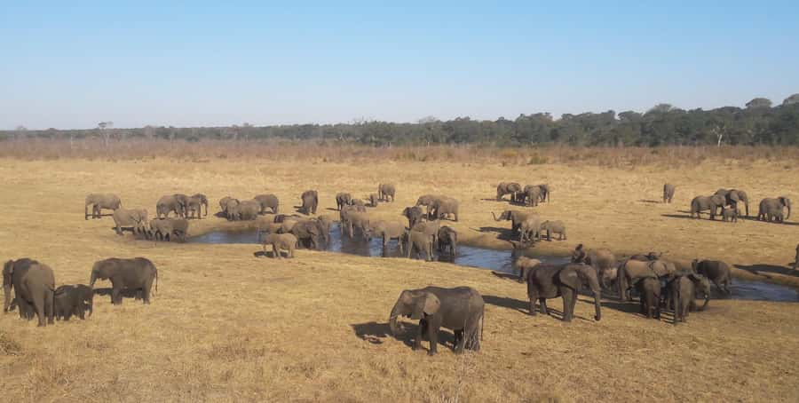 Chobe Extended Day Trip - Lunch and the midday pause
