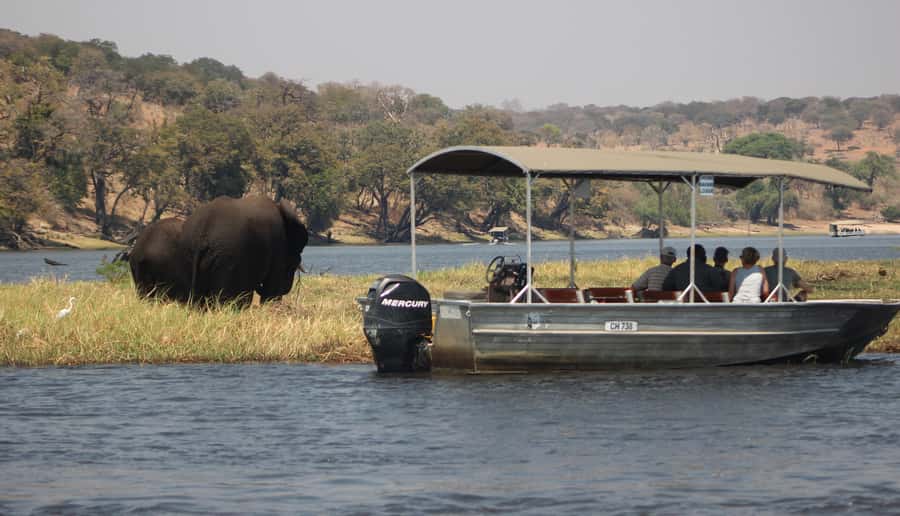Chobe Extended Day Trip - FAQ