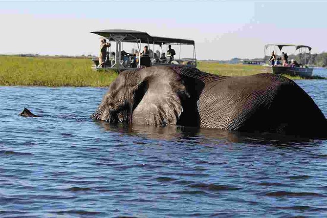 Chobe Extended Day Trip from Victoria Falls - Zimbabwe - Crossing from Victoria Falls into Botswana