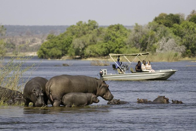 Chobe Extended Day Trip from Victoria Falls - Zimbabwe - The morning game drive in Chobe