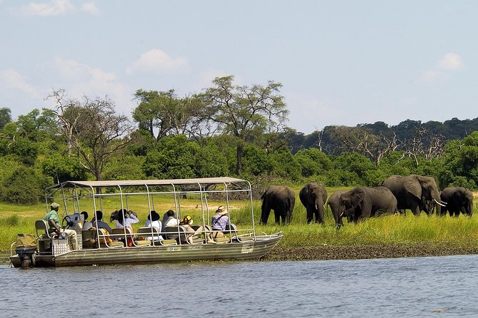 Chobe Full Day Safari Trip - Why Chobe works so well as a Victoria Falls day trip