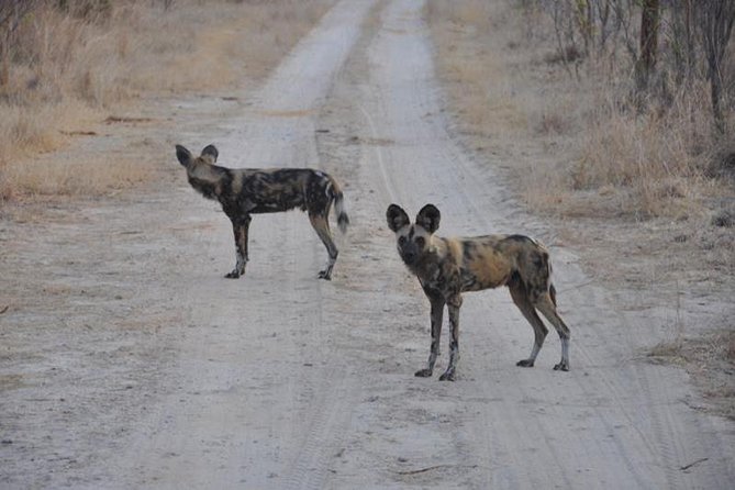 Chobe Full day Safari with Victoria falls Sunrise Tour Combo - One long day, two countries, and a schedule to clarify