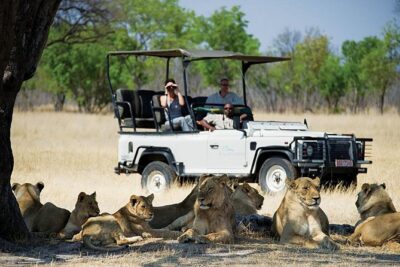 Chobe Full day Safari with Victoria falls Sunrise Tour Combo