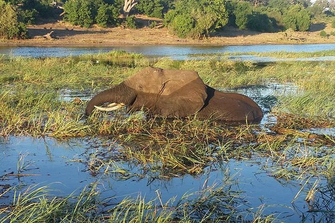 Chobe Full day Safari with Victoria falls Sunrise Tour Combo - Who will enjoy this Chobe and falls combination