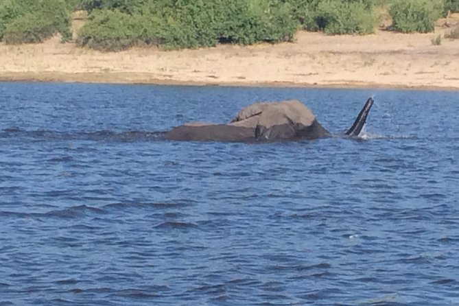 Chobe Full day Trip - Key points at a glance