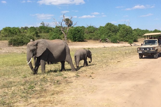 Chobe Full day Trip - How the organization affects the day