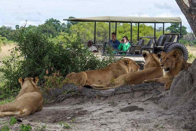 Chobe Full Day Trip From Victoria Falls - Key points before you book
