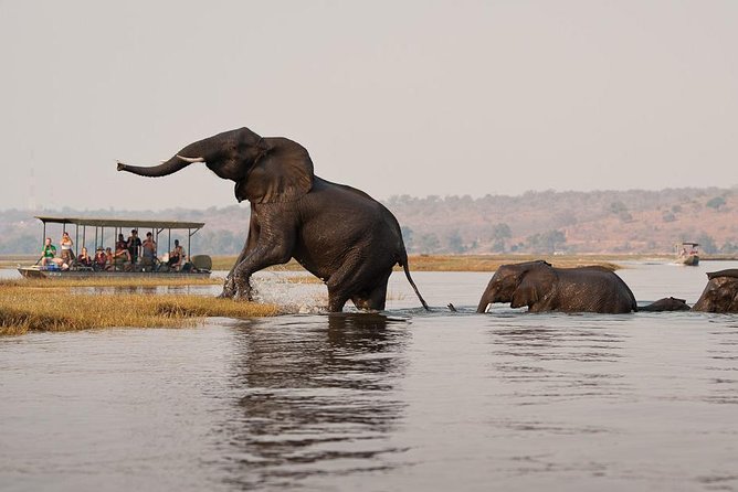 Chobe Full Day Trip From Victoria Falls - Crossing the Zimbabwe and Botswana borders