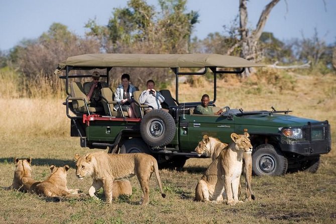 Chobe Full Day Trip From Victoria Falls - The Chobe game drive: a short search for big animals