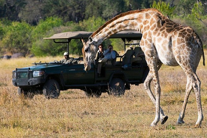 Chobe Full Day Trip From Victoria Falls - Returning to Victoria Falls