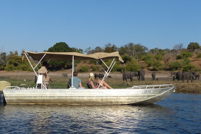 Chobe Full Day Trip From Victoria Falls - The 7:00 am pickup and the road to Botswana