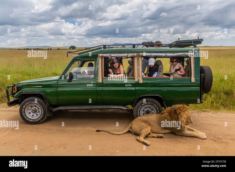 Chobe Half Day Trip from Victoria Falls - Choosing the afternoon Chobe River cruise