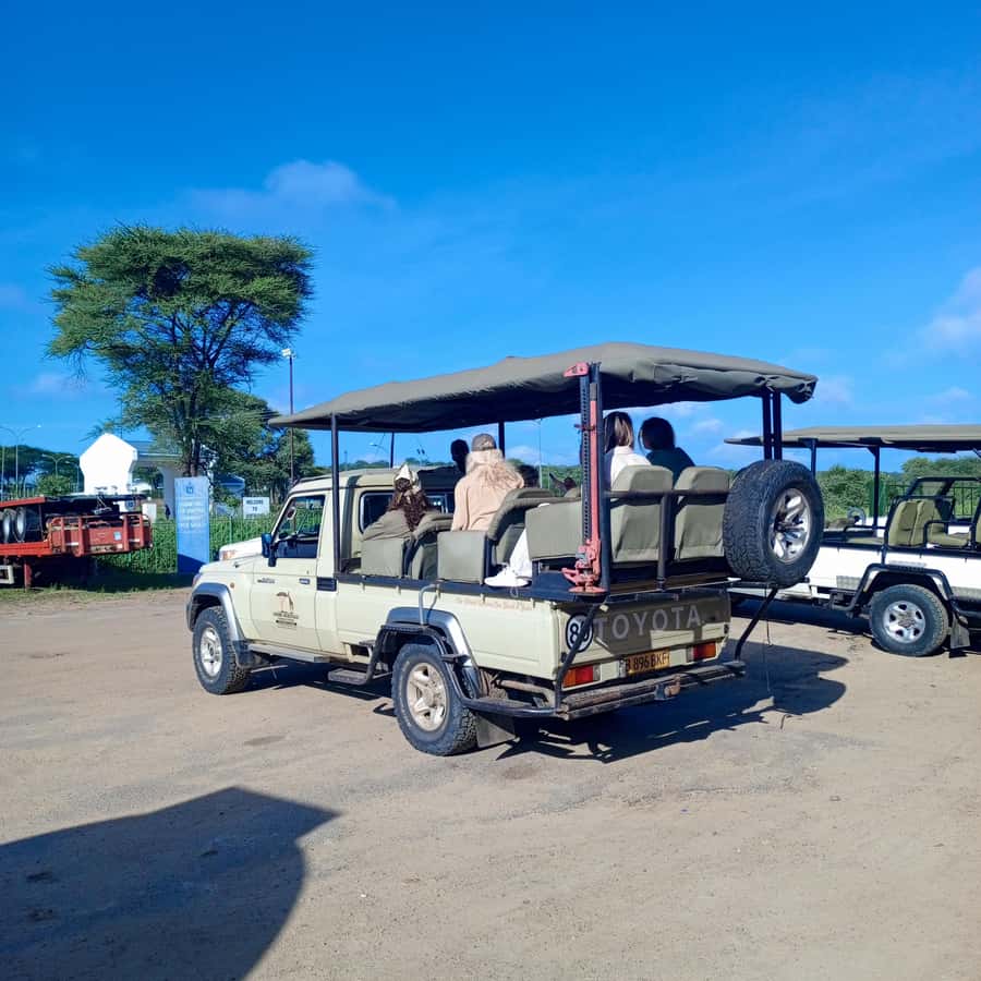 Chobe Half Day Trip from Victoria Falls - What the $115 price really covers