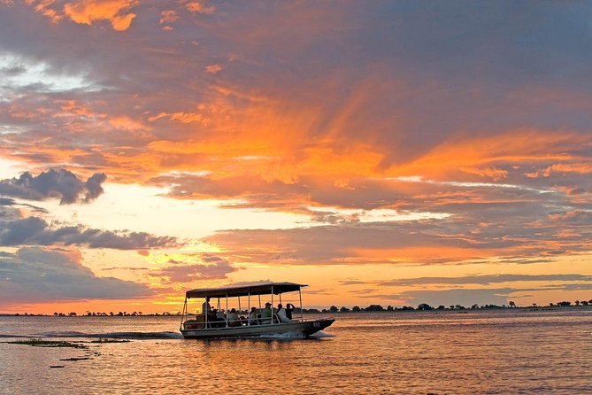 Chobe National Park 4X4 Day Safari and River Cruise - Is $225 a fair price?