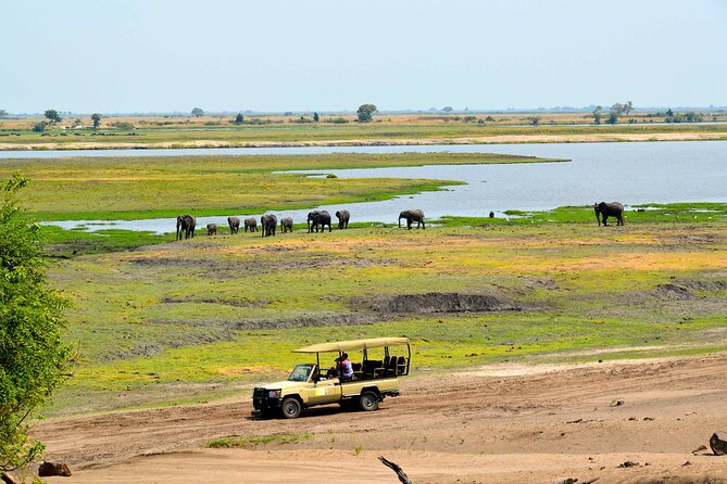 Chobe National Park Day Trip from Victoria Falls with Lunch - Why Chobe works so well as a Victoria Falls day trip