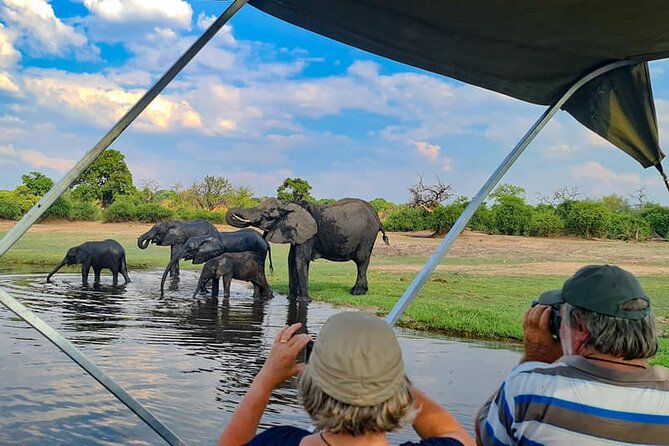 Chobe National Park Day Trip from Victoria Falls with Lunch - From Victoria Falls to the Kazungula Border