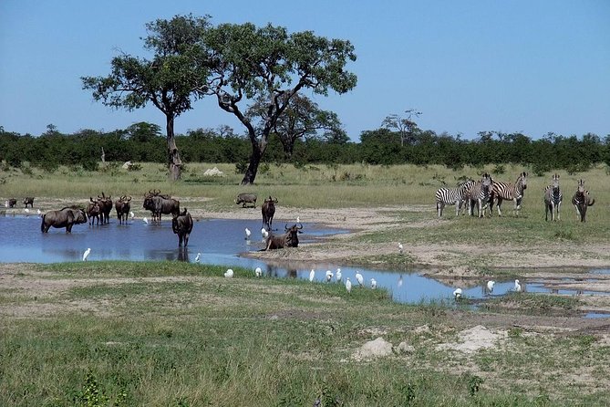 Chobe National Park Full Day Safari (Botswana) - Why Chobe works as a Victoria Falls add-on