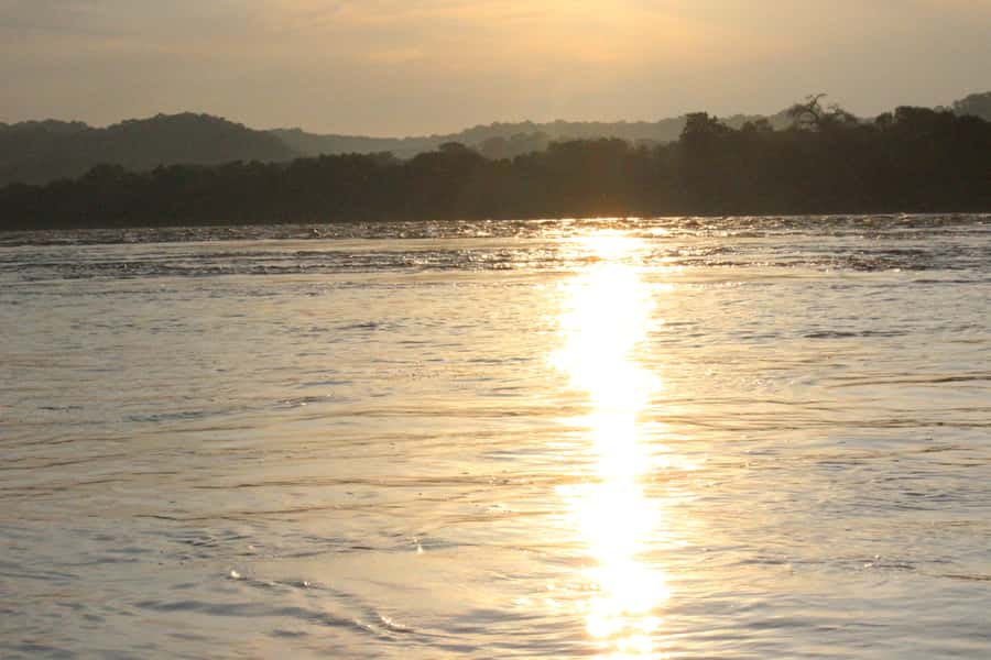 Chobe National Park: Game Drive, Boat Tour, and Lunch - What the $165 price really covers