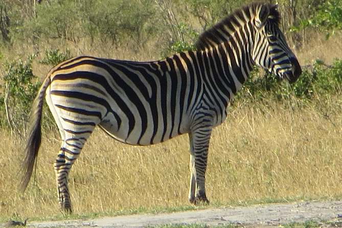 Chobe Safari Overnight Camping Trip - Dinner and a tented night under the stars