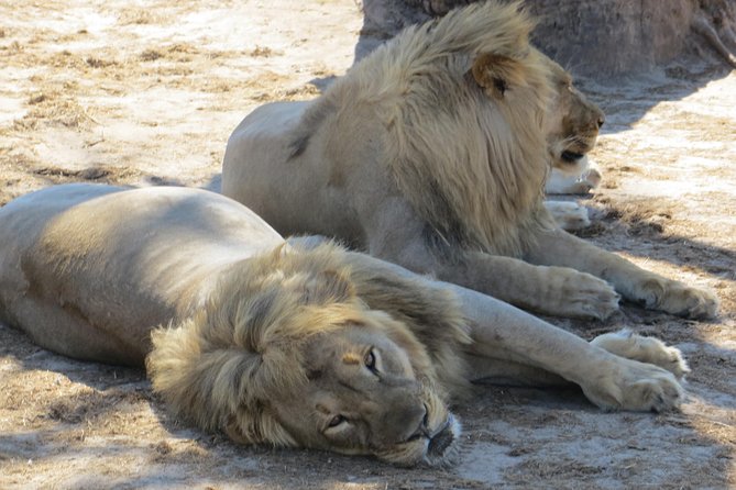 Chobe Safari Overnight Camping Trip - The Victoria Falls timing needs clarification