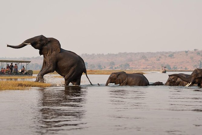 Chobe Sunrise upto Sunset Day trip from Victoria Falls 5AM - 7PM - The road through Mosi-Oa-Tunya National Park