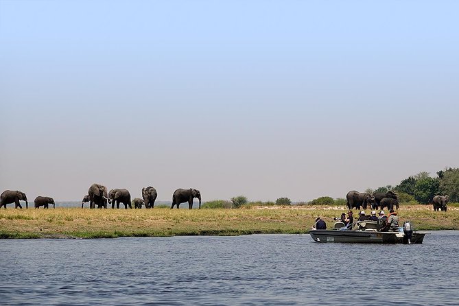 Chobe Sunrise upto Sunset Day trip from Victoria Falls 5AM - 7PM - The Chobe River cruise near sunset