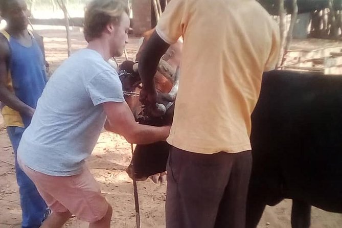 Cultural Village Tour,Interacting With the Communal Villagers (Educational Trip) - The possible school visit