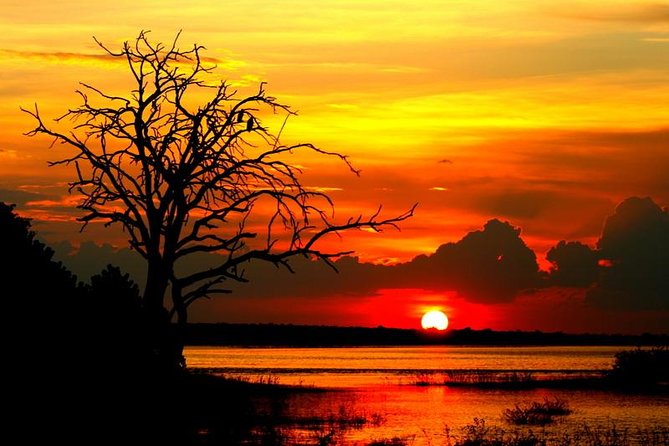 Explore Chobe National Park With a Day Trip from Victoria Falls - The Chobe River cruise: two hours near elephants and hippos