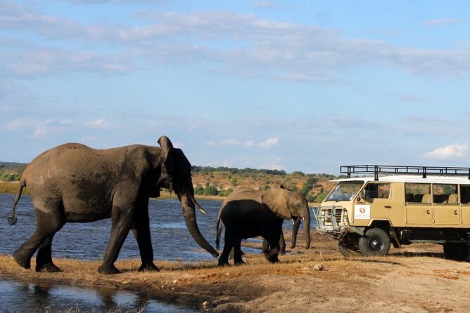 Explore Chobe National Park With a Day Trip from Victoria Falls - What the group size means in practice