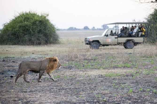 Explore Chobe National Park With a Day Trip from Victoria Falls - The 7:00 am pickup and the road to Botswana