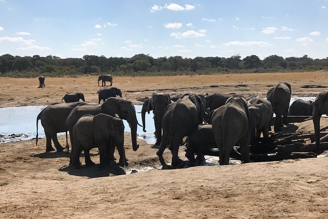 Five-Day Hwange NP, Chobe NP and Victoria Falls Combo - Three African highlights in five tightly planned days