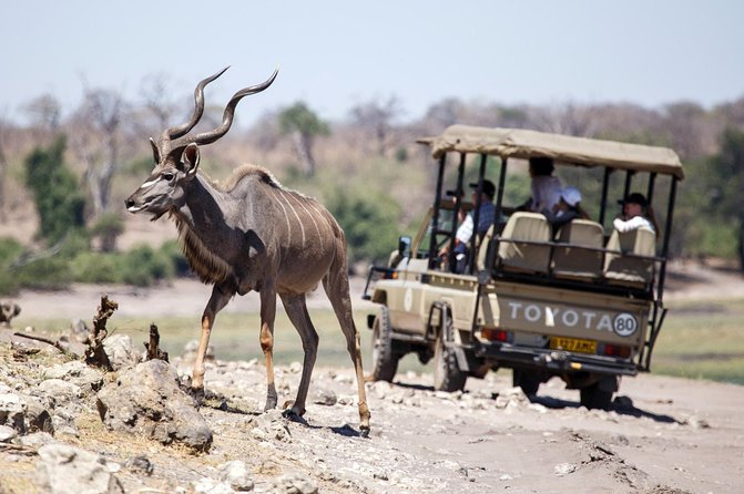 Five-Day Hwange NP, Chobe NP and Victoria Falls Combo - Day 5: A flexible departure from Victoria Falls