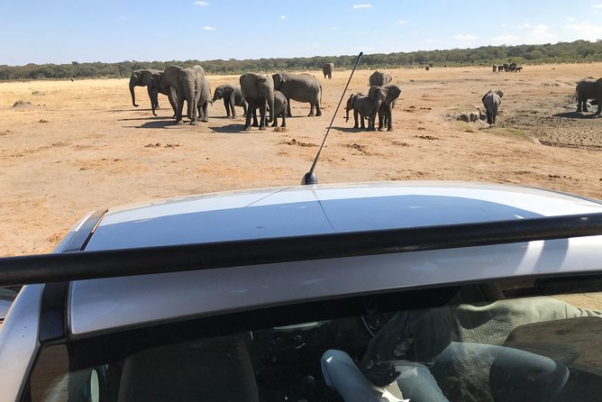 Five-Day Hwange NP, Chobe NP and Victoria Falls Combo - Meals, lodging, and what your price is buying