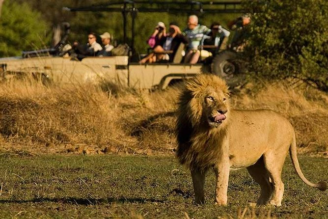 Five-Day Hwange NP, Chobe NP and Victoria Falls Combo - Day 3: Victoria Falls on foot, then the Zambezi at sunset