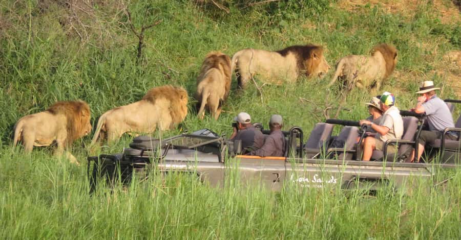 From Kasane: Chobe National Park Full Day Wildlife Safari - Key points to know before you book