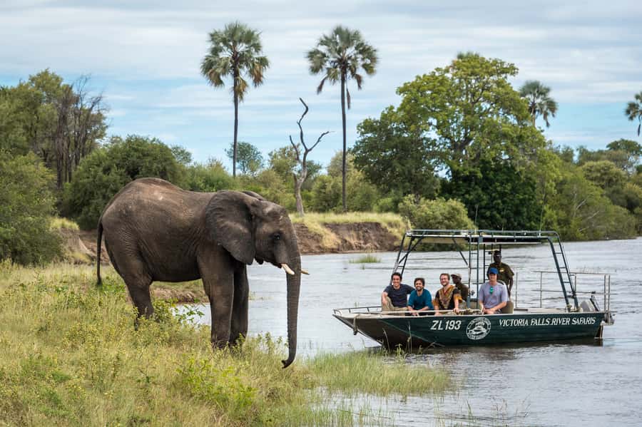 From Livingstone: Victoria Falls River Safari - The island picnic and included drinks