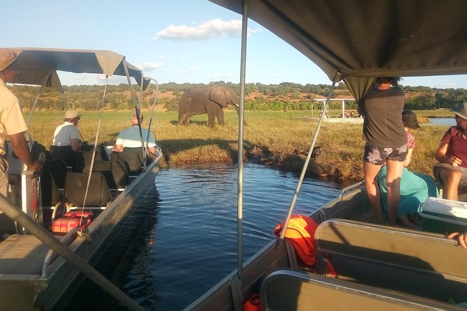 From Victoria Falls: Chobe National Park Small Group Tour - Riverside lunch at around midday