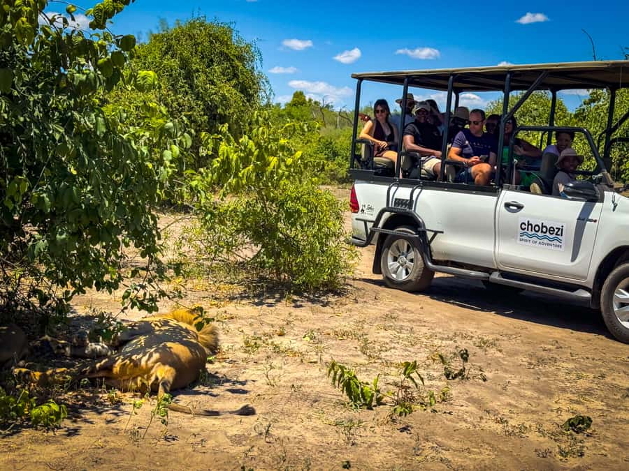 From Victoria Falls: Full Chobe Day trip to Chobe, Botswana - The three-hour Chobe game drive